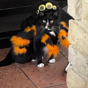 Meet your Posher, Beth